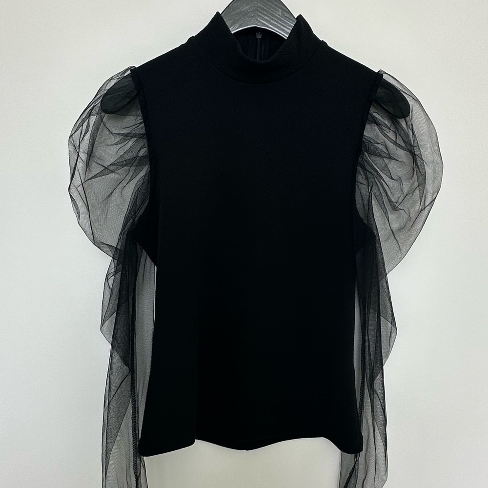 Black top w/ mesh long puff sleeve